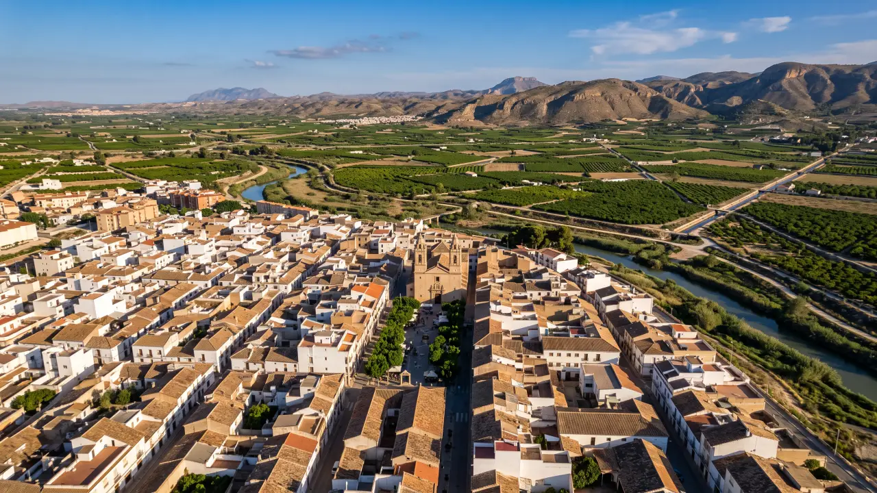 Vue aérienne de Benejuzar sur la côte espagnole